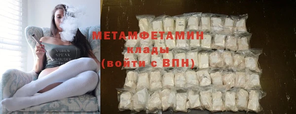 индика Бронницы