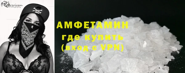 индика Бронницы