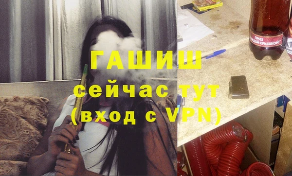 индика Бронницы