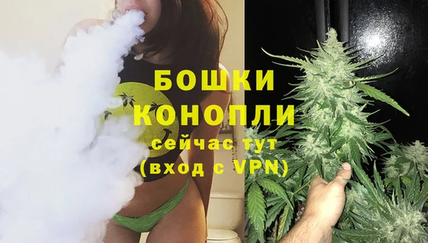 индика Бронницы