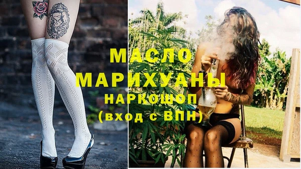 индика Бронницы