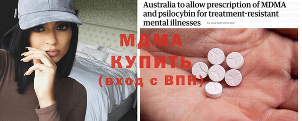 индика Бронницы
