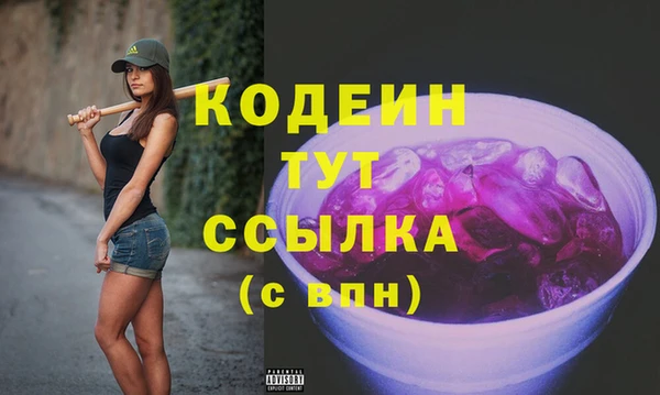 индика Бронницы